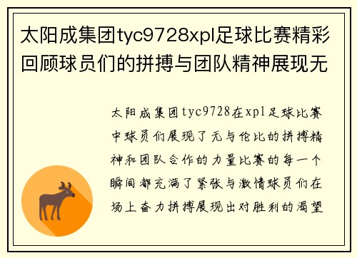 太阳成集团tyc9728xpl足球比赛精彩回顾球员们的拼搏与团队精神展现无遗